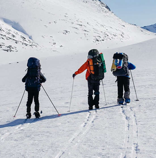 polar-tour1.jpg